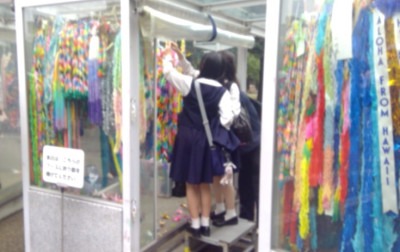 6折鶴奉納