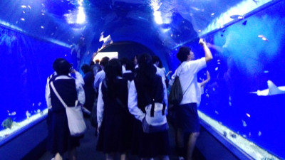 1海遊館