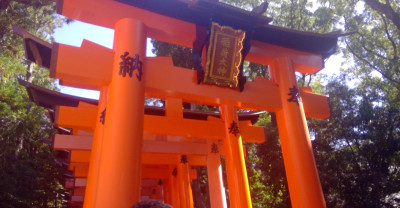 9鳥居